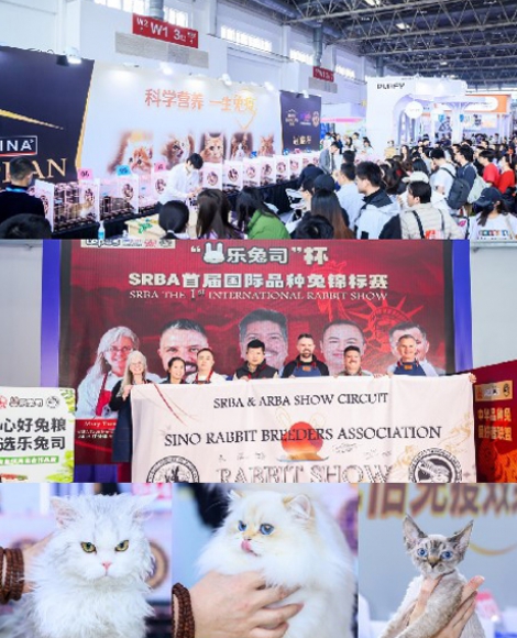 Theme Event: Cat/Rabbit