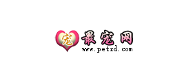 最宠网